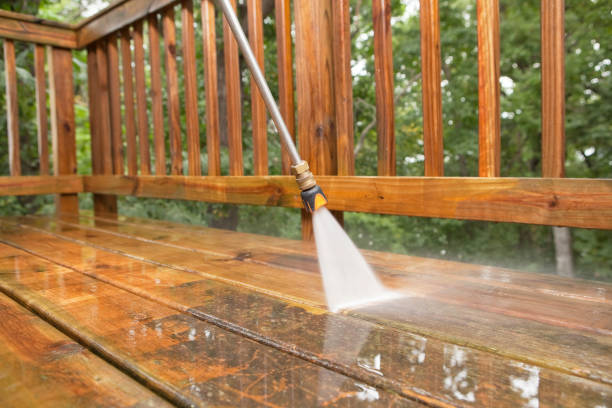 Trusted East Dubuque, IL Pressure Washing Services Experts